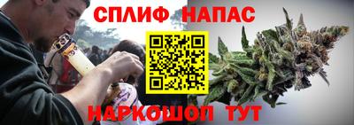 шишки Жуковский