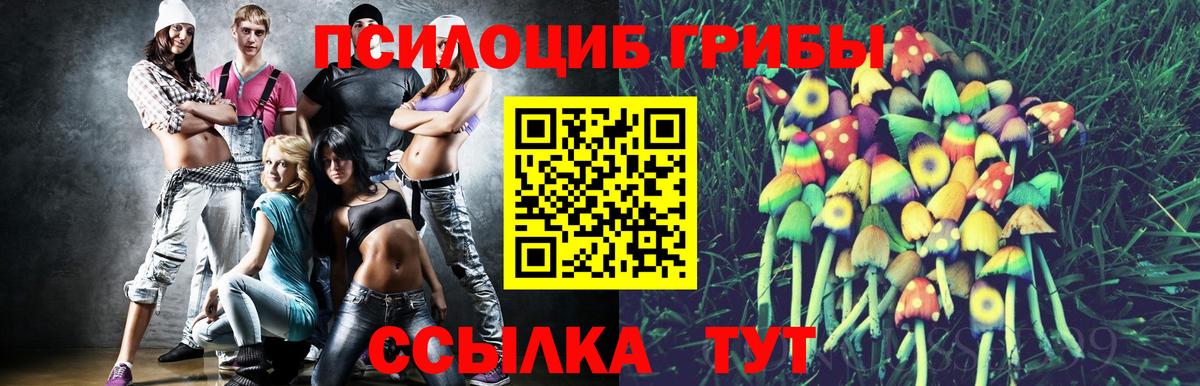 Псилоцибиновые грибы MAGIC MUSHROOMS  Вход с VPN  Кумертау 