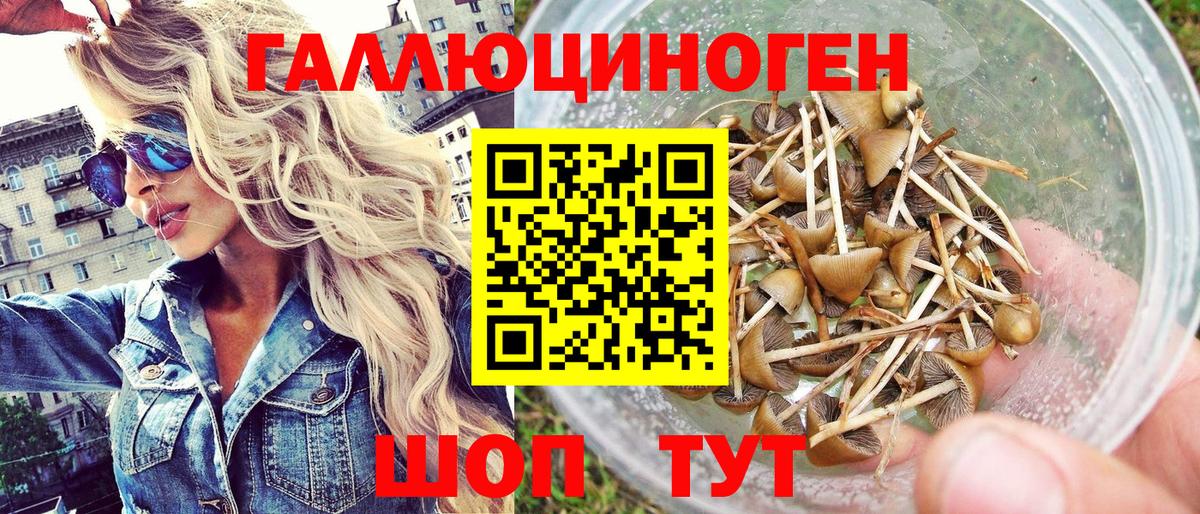 Псилоцибиновые грибы Magic Shrooms Кумертау